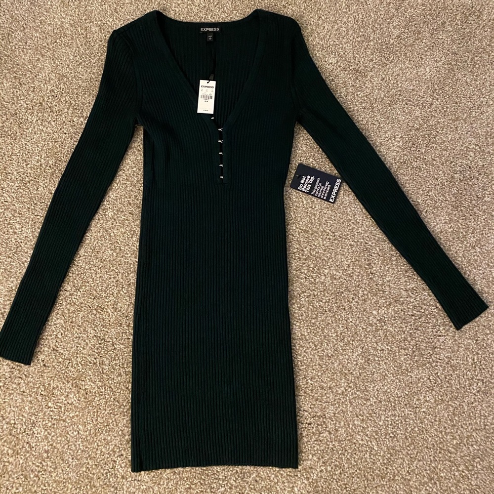 Express ribbed sweater dress